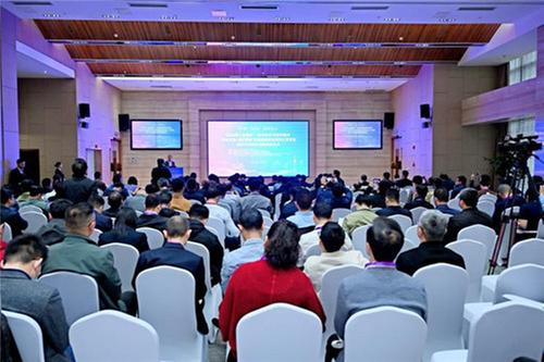 锚定新质生产力 拓掘发展新动能