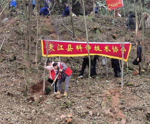 夹江县科协开展义务植树活动