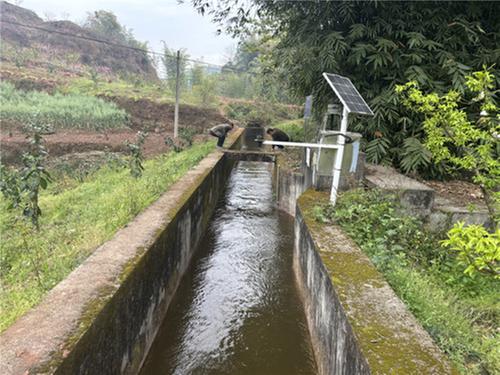 开闸放水！丹棱县5.8万亩农田“喝”上春灌水