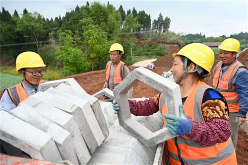东兴区：19个村补充耕地项目建设忙