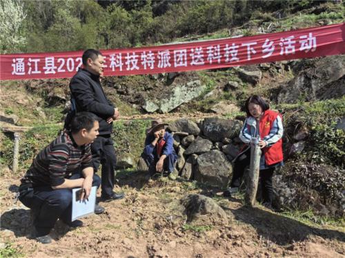 通江科技特派员助力村集体核桃产业发展