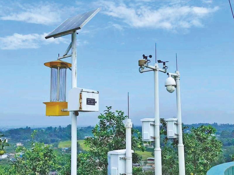 带地+带人 青神县：“双带”模式助农业高质量发展