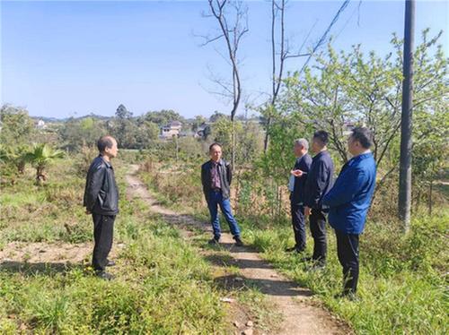 礼安镇：全力以赴抓好全域灌溉工作