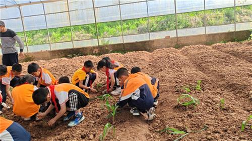 南江县青少年学生校外活动中心朝阳活动站厚植农耕文化
