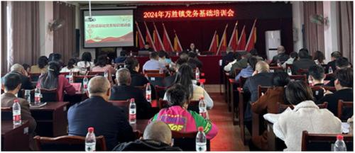 万胜镇：着力实施三大提能行动,锻造过硬党员干部队伍