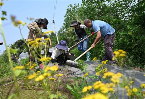 东兴区：示范大院引领农民新生活