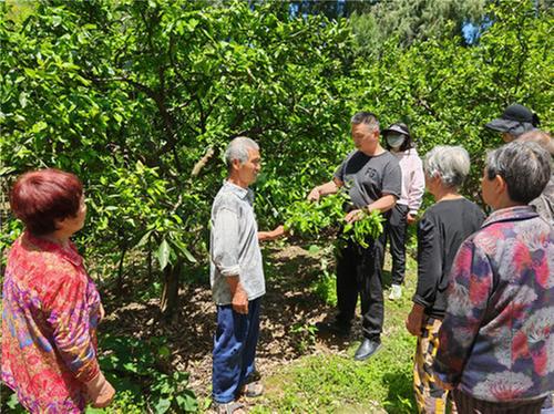 成都东部新区高家湾村在果园里开交流会