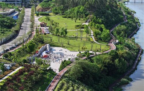 东兴区：万步有约 健康相伴