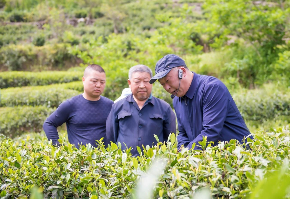 通江县：科技特派员现场服务 技术保障零距离