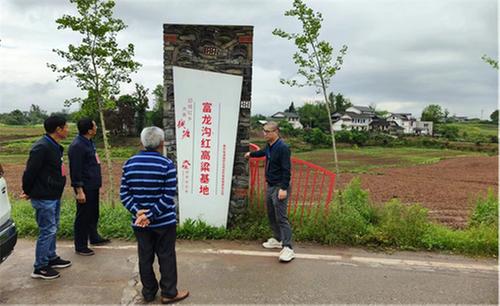 武胜县真静乡开展“友邻携手，共促发展”人大代表调研学习活动