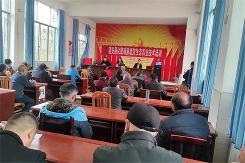 银汉镇扎实开展化肥减量增效技术培训会