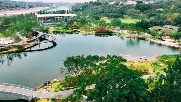 内江市市中区增绿添景，让市民们尽享“绿色福利”