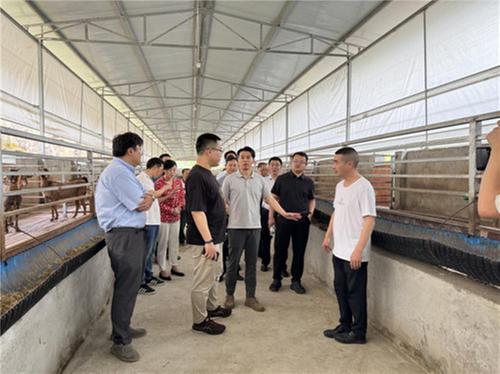中国科协农技中心到南江县调研评价黄羊产业顾问组工作