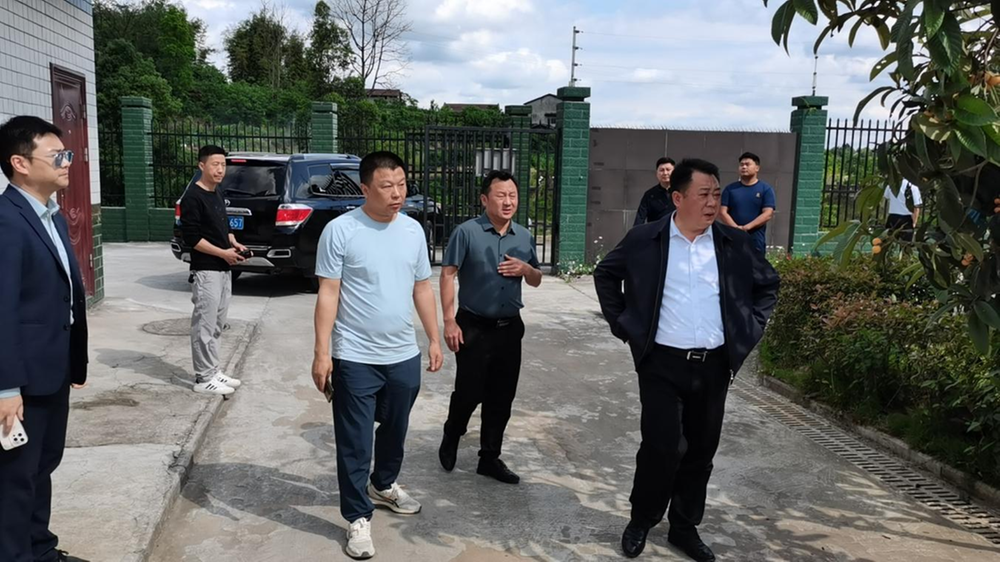 武胜县副县长朱伟调研兴隆河水环境治理工作