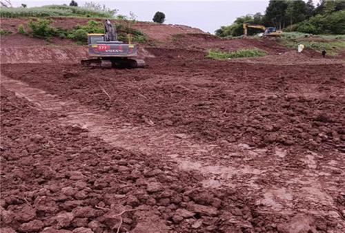 浓溪镇：基层走访解难题 修复百姓心中田