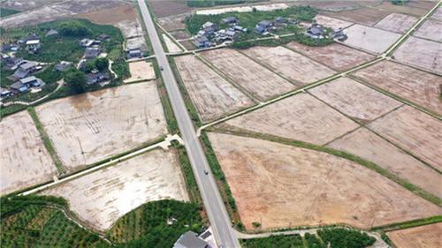 丹棱县：“铁牛”轰鸣  机械助力插秧忙