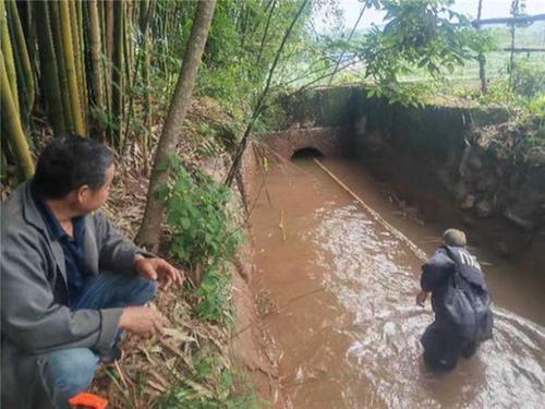 眉山五圣村党员干部奋战在用水保栽一线