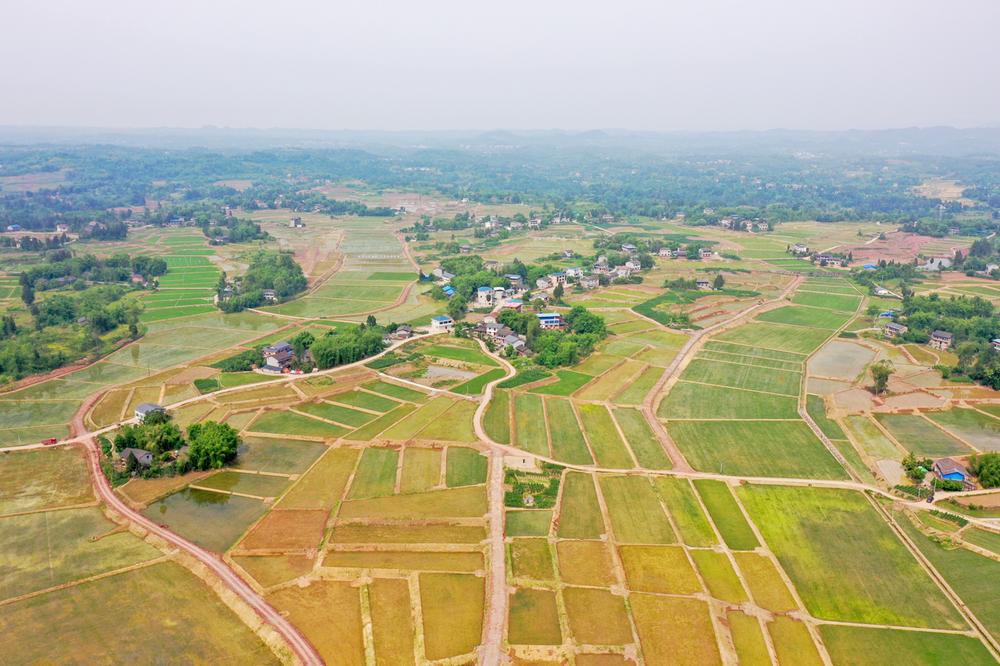 恒升镇：锦绣田园风光美