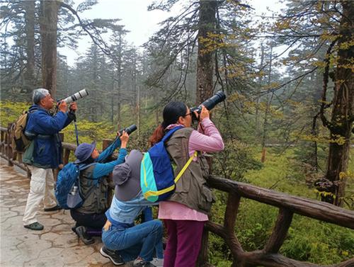 瓦屋山首届“国际观鸟大赛”成功举行