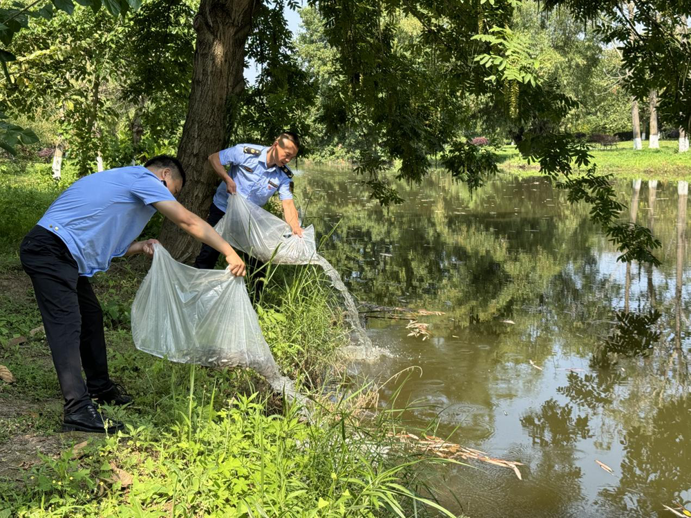 东坡区：增殖放流助推水域生态环境