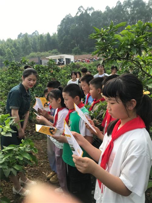 秦家镇：助力劳动教育  建立实践基地