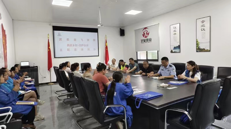 飞龙镇：“典”进乡村 法律顾问在行动