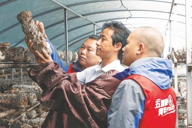 执实干之笔 谱振兴之歌