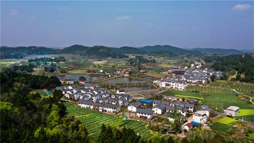 简阳获评四川省县域经济高质量发展进步显著县（市）