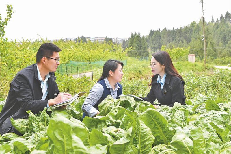 科技“点单”解民忧 良策“富民”促振兴