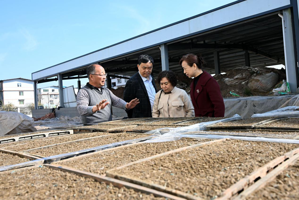 “科技之春”科普活动月|内江市东兴区科协：科技助春耕 