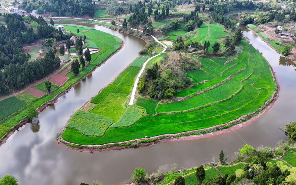 内江东兴区：科学管护保丰收