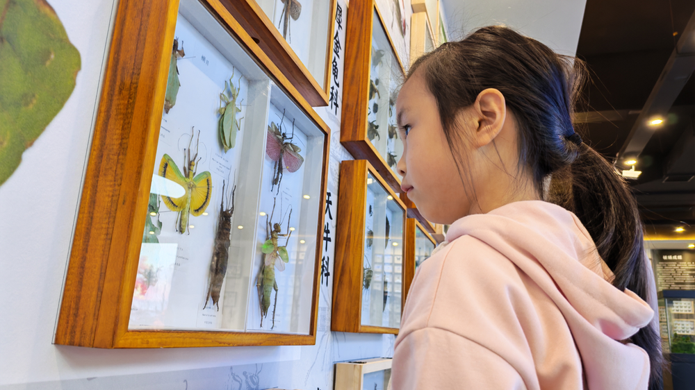 邻水县铜锣山旅游区自然教育科普馆成为假期热门打卡点